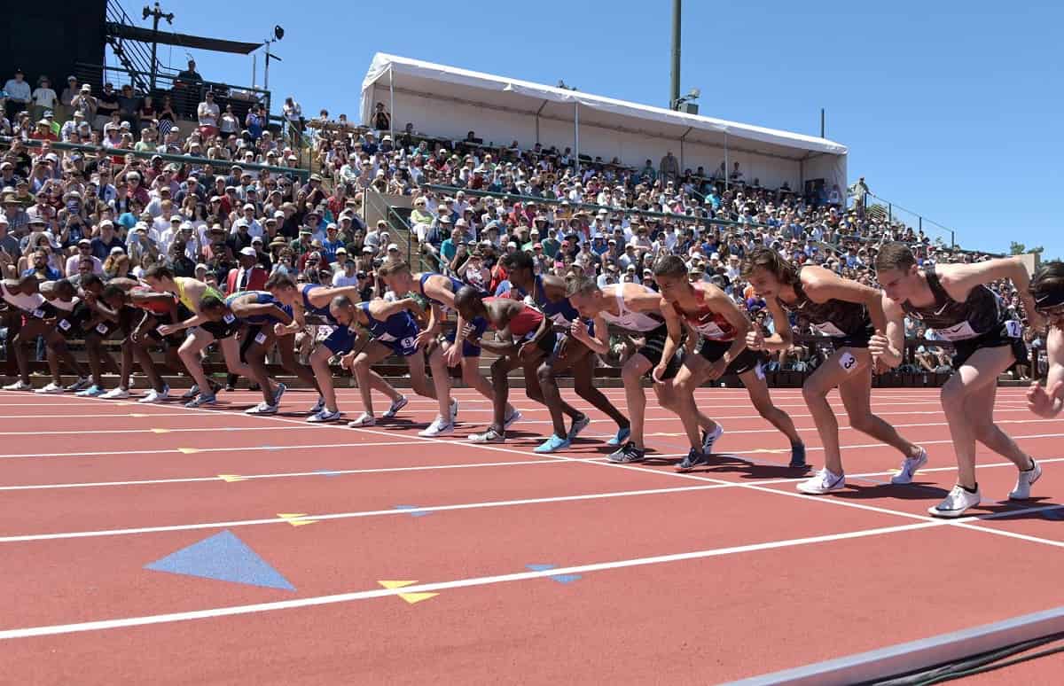 Results Stanford vs Cal Big Meet 2022 Watch Athletics
